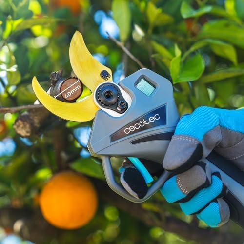 Persona podando un árbol frutal con la Cecotec TitanCut 3000